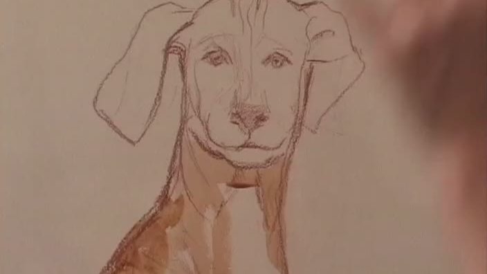 Рисуем собаку